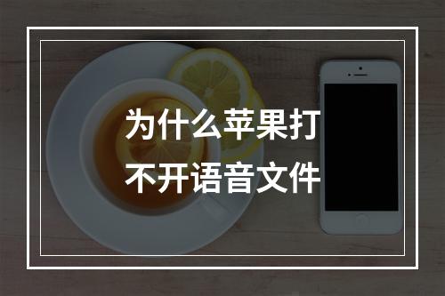 为什么苹果打不开语音文件