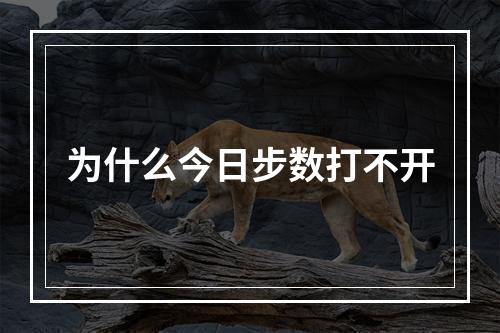 为什么今日步数打不开