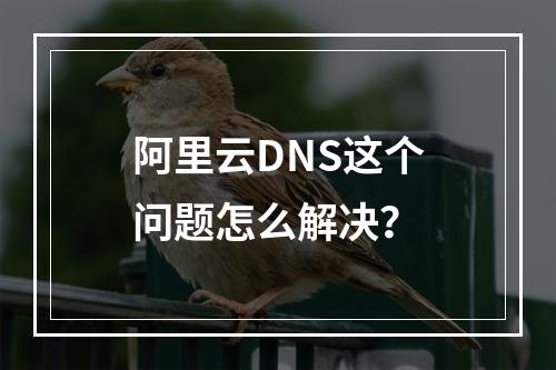 阿里云DNS这个问题怎么解决?