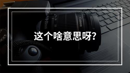 这个啥意思呀?