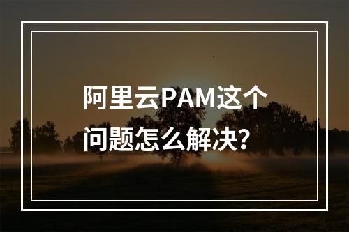 阿里云PAM这个问题怎么解决?