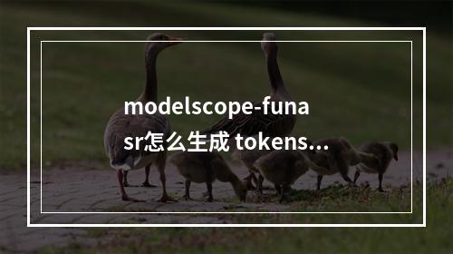 modelscope-funasr怎么生成 tokens.json的?