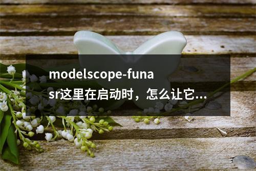 modelscope-funasr这里在启动时,怎么让它不启动ssl呢?