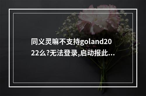 同义灵嘛不支持goland2022么?无法登录,启动报此应用无法在你电脑上运行