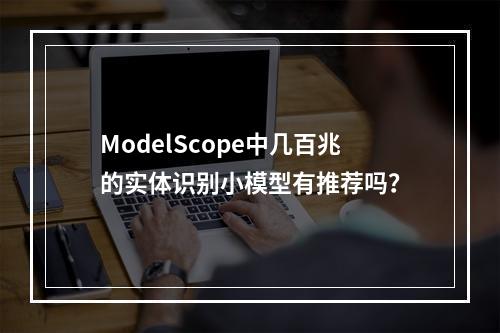 ModelScope中几百兆的实体识别小模型有推荐吗?