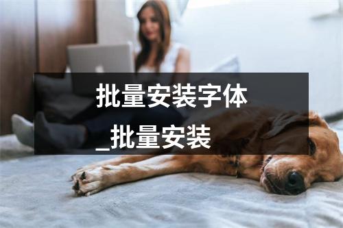 批量安装字体_批量安装