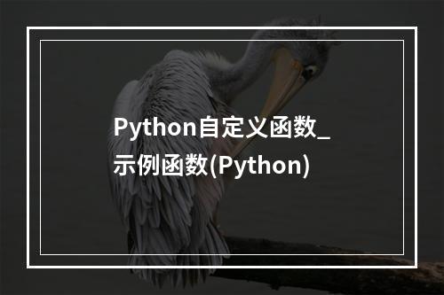 Python自定义函数_示例函数(Python)