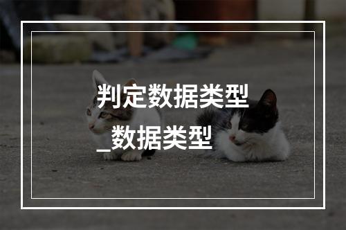 判定数据类型_数据类型