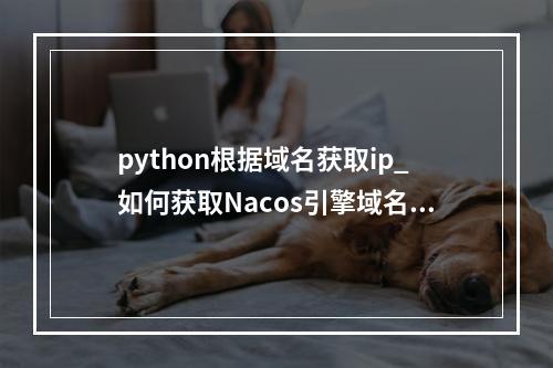 python根据域名获取ip_如何获取Nacos引擎域名对应ip?