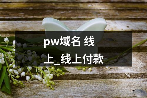 pw域名 线上_线上付款