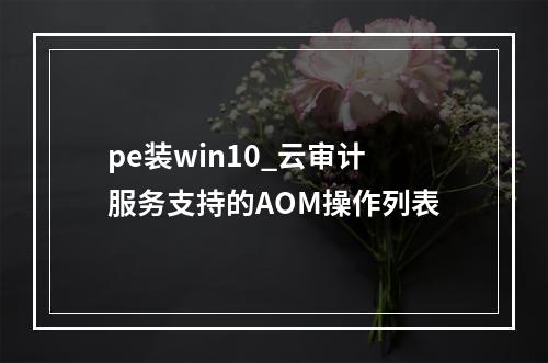 pe装win10_云审计服务支持的AOM操作列表
