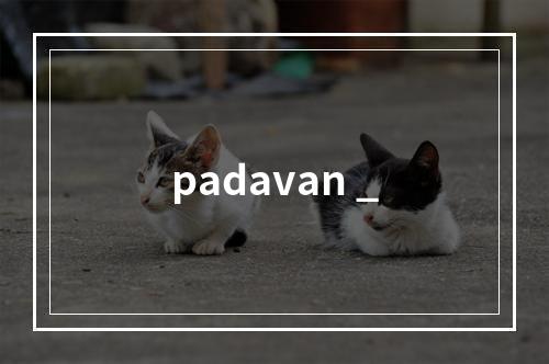 padavan _