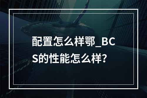 配置怎么样鄂_BCS的性能怎么样?