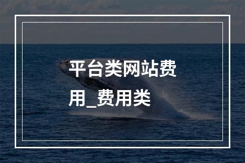 平台类网站费用_费用类
