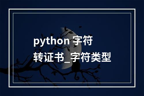 python 字符转证书_字符类型