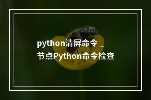 python清屏命令 _节点Python命令检查