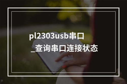 pl2303usb串口 _查询串口连接状态