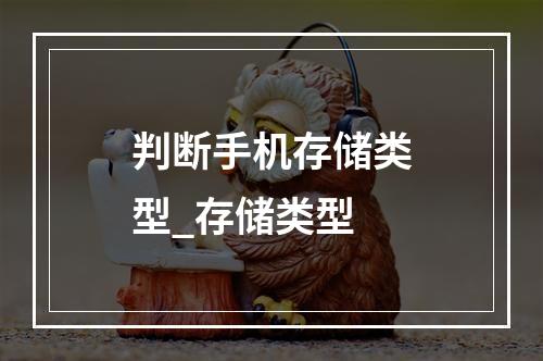 判断手机存储类型_存储类型