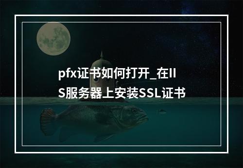pfx证书如何打开_在IIS服务器上安装SSL证书