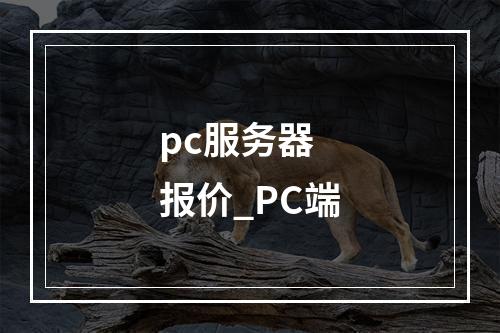 pc服务器 报价_PC端