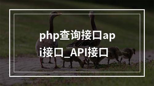 php查询接口api接口_API接口