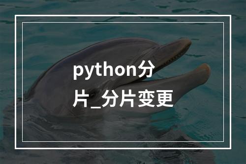 python分片_分片变更