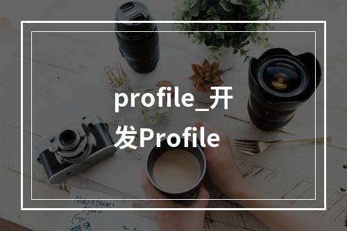 profile_开发Profile