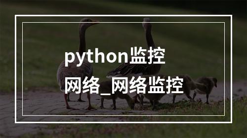 python监控网络_网络监控