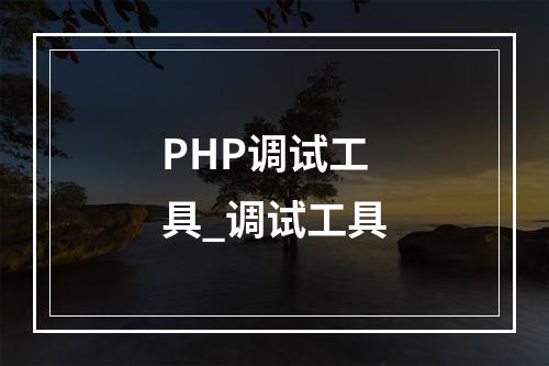 PHP调试工具_调试工具
