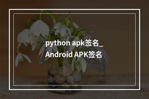 python apk签名_Android APK签名