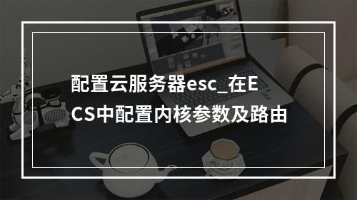 配置云服务器esc_在ECS中配置内核参数及路由