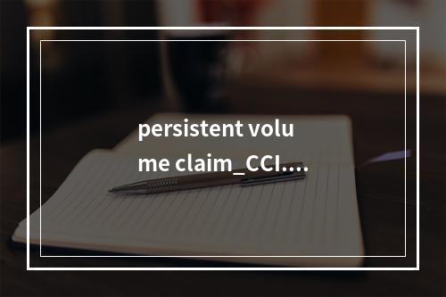 persistent volume claim_CCI.Storage.EVS