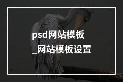 psd网站模板_网站模板设置