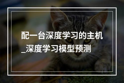 配一台深度学习的主机_深度学习模型预测