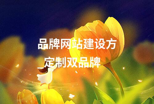 品牌网站建设方_定制双品牌