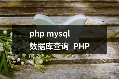 php mysql 数据库查询_PHP