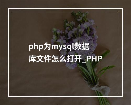 php为mysql数据库文件怎么打开_PHP
