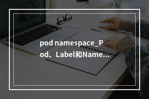 pod namespace_Pod、Label和Namespace