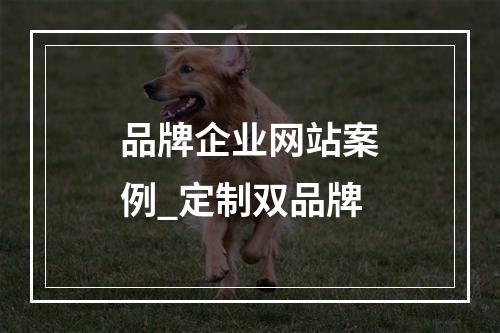 品牌企业网站案例_定制双品牌