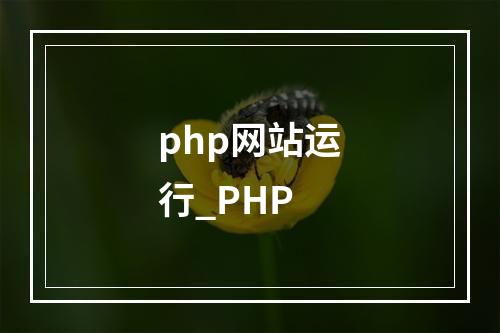 php网站运行_PHP