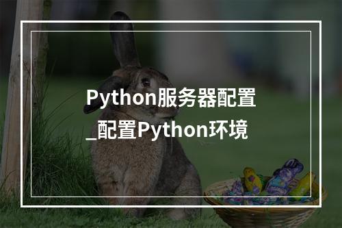 Python服务器配置_配置Python环境