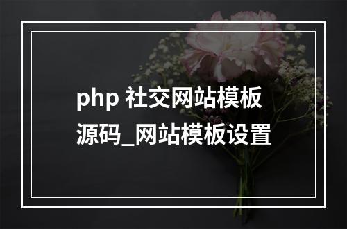 php 社交网站模板源码_网站模板设置