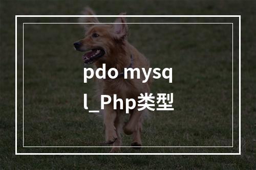 pdo mysql_Php类型
