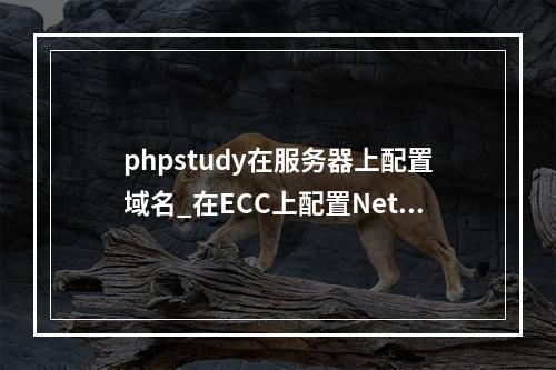 phpstudy在服务器上配置域名_在ECC上配置NetEco通信参数