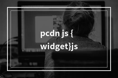 pcdn js {widget}js