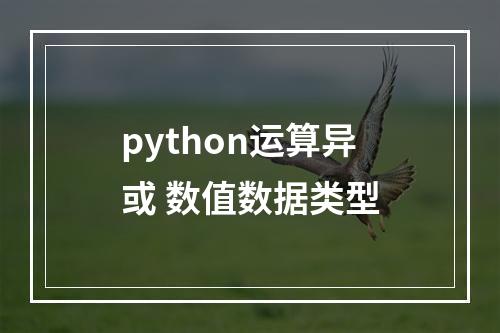 python运算异或 数值数据类型