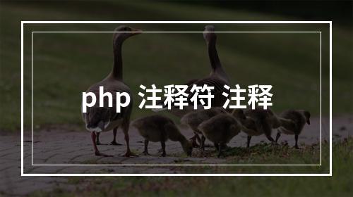 php 注释符 注释