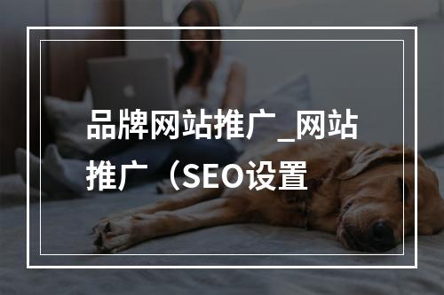 品牌网站推广_网站推广(SEO设置