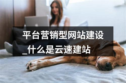 平台营销型网站建设_什么是云速建站