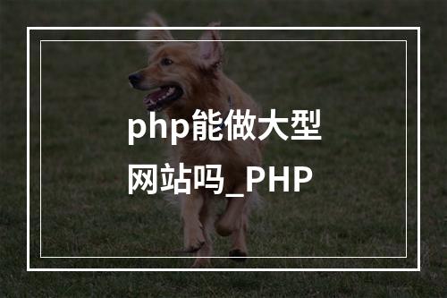 php能做大型网站吗_PHP